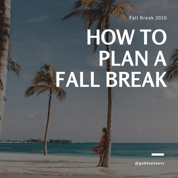 How to Plan A Fall Break.